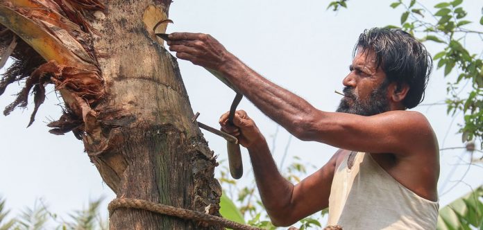 prothomalo_import_media_2018_03_15_e9b13ff302d7b9539b47bd309a9912fb-5aaa8594caae5