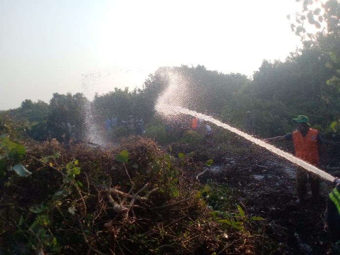 Bagerhat Sundarbon Fire Pic (1)
