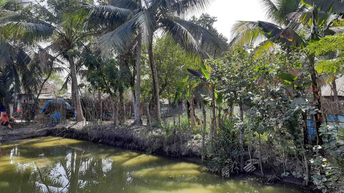 Bagerhat Farmer Mikail Hossen House Pic (1)