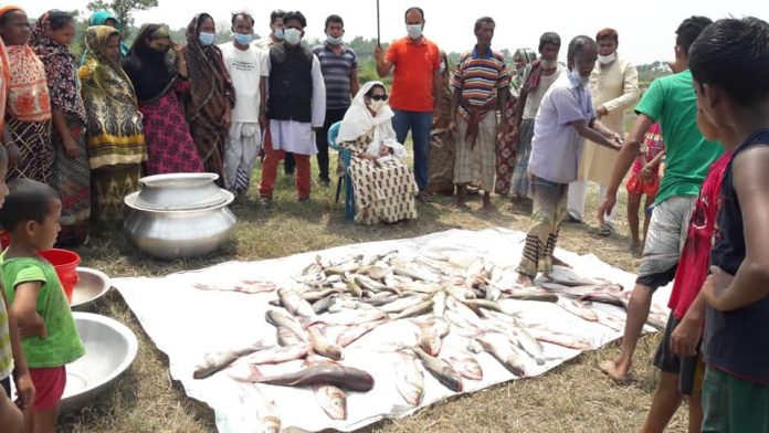 fish photo homna mp