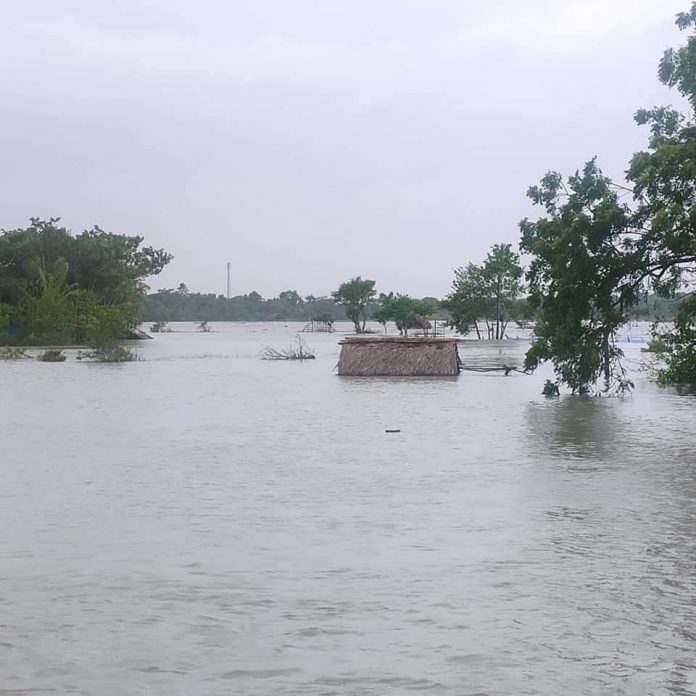 Bagerhat Damage Fish Firm Pic (2)